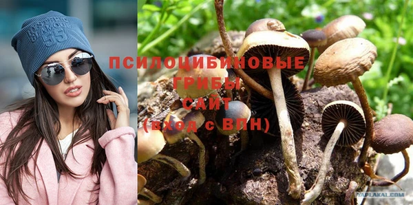 прущая мука Новозыбков