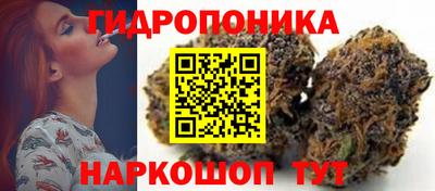 ПСИЛОЦИБИНОВЫЕ ГРИБЫ Бийск