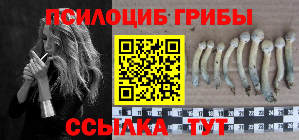 Галлюциногенные грибы ЛСД  Борисоглебск 